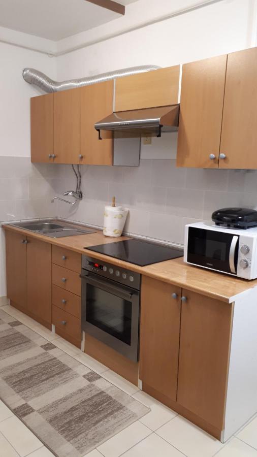 Apartman Panorama Vukovár Kültér fotó